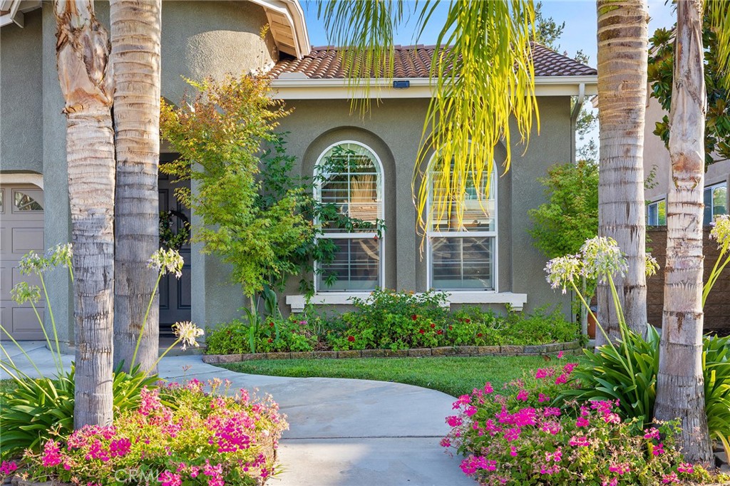 33593 Pebble Brook Circle