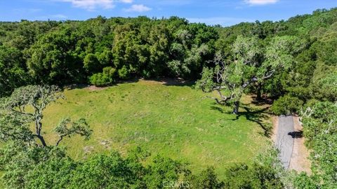 Tiny photo for 3210 Cloudy Meadow Road, Templeton, CA 93465 (MLS # SC26064687)