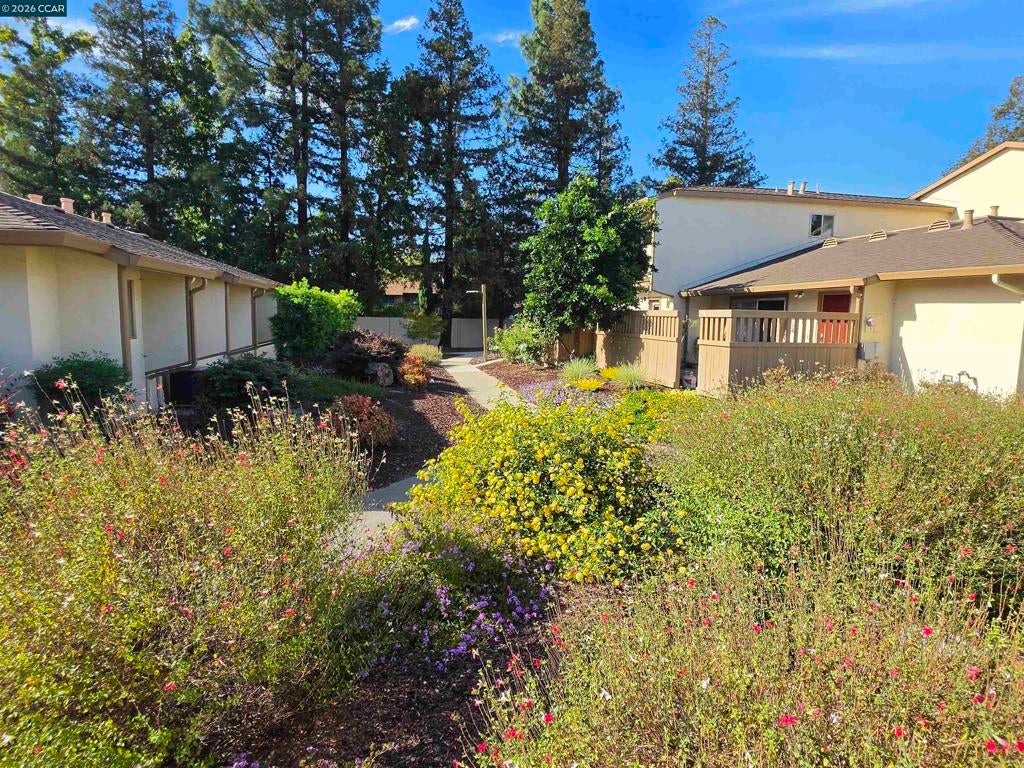 1959 Olmo Way