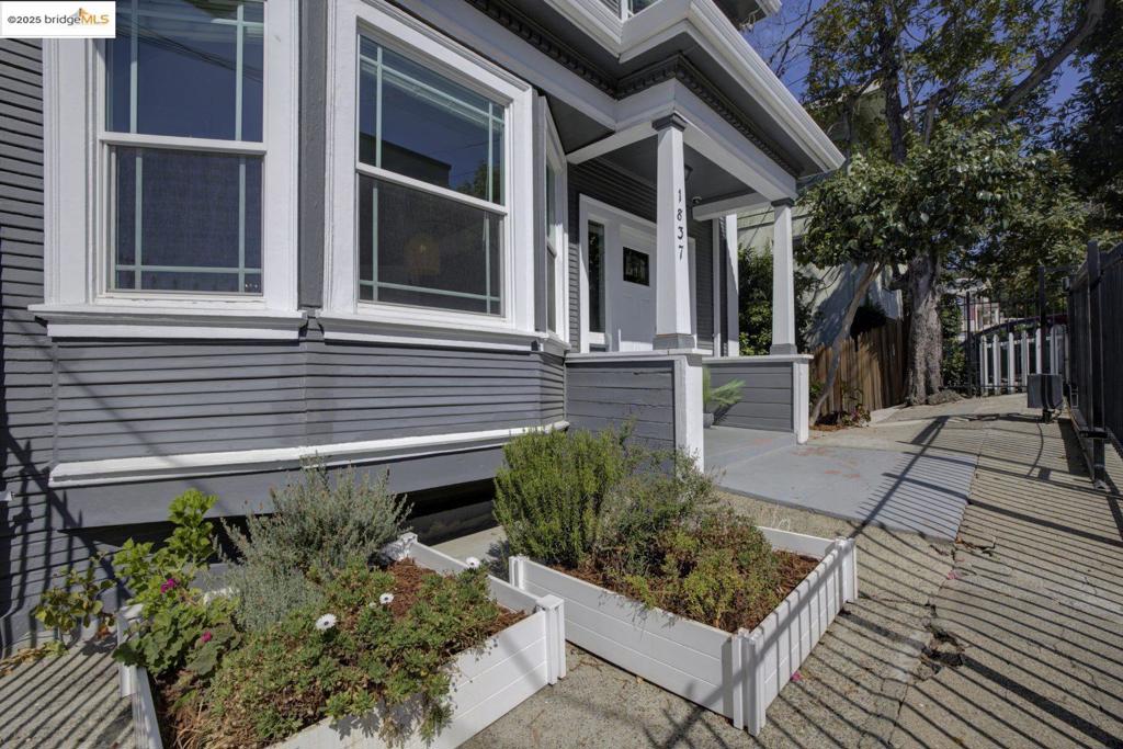 IVY HILL - Residential