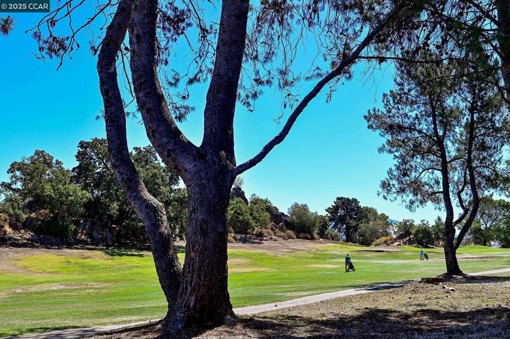 DIABLO HILLS - Residential