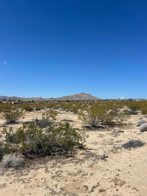 Photo of 0 Bellflower Street, Joshua Tree, CA 92252 (MLS # 219105074DA)