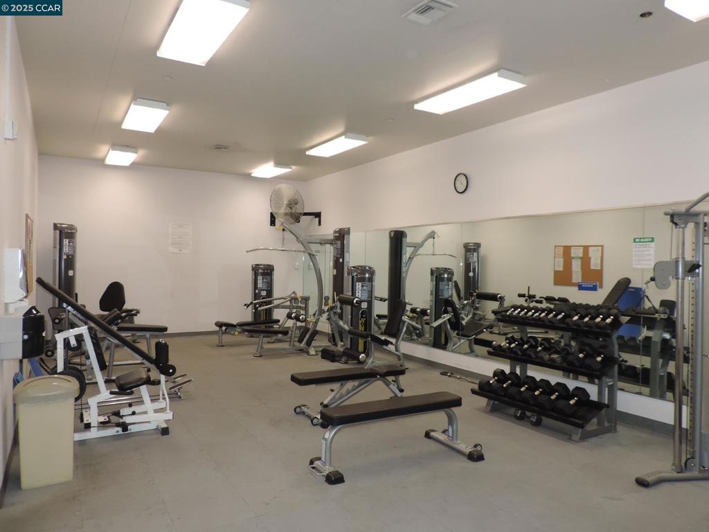 5 CORNERS - Residential Lease