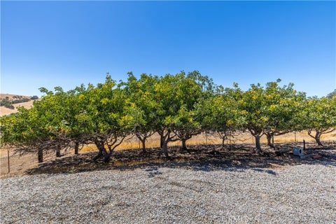 Tiny photo for 5750 Ground Squirrel Hollow HOLW, Paso Robles, CA 93446 (MLS # SC26158957)