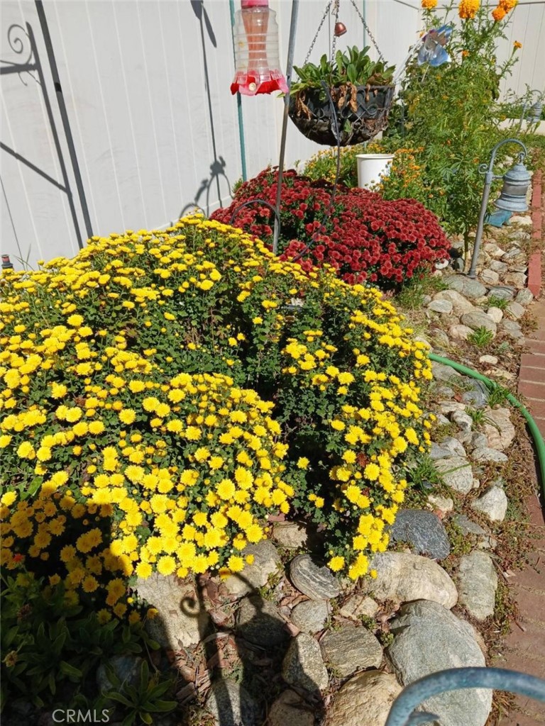 Sun Lakes - Residential