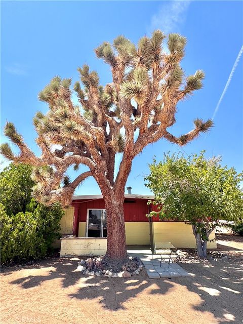 Photo of 1676 Avalon Avenue, Yucca Valley, CA 92284 (MLS # DW25130030) Photo of 1676 Avalon Avenue, Yucca Valley, CA 92284 (MLS # DW25130030)