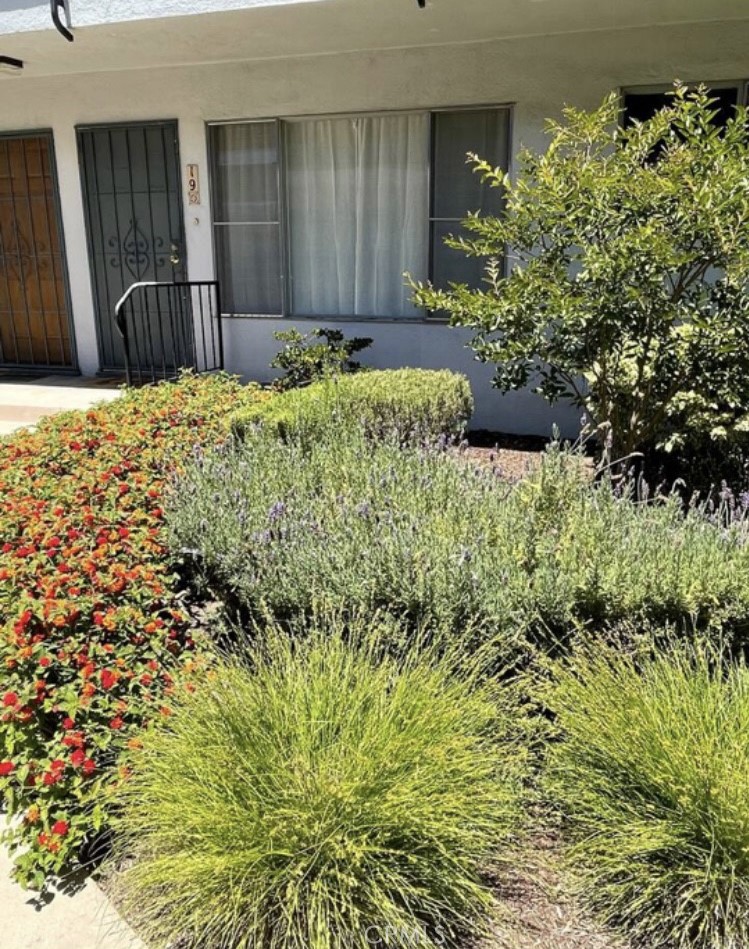 This is the condo you have been looking for! Ground level beautifully upgraded unit. This beautiful kitchen includes custom cabinetry, quartz countertops, refrigerator, microwave, dishwasher and stove. It is wonderful to have recessed lighting and easy-to-care-for luxury vinyl flooring. The bathroom has a larger walk-in tiled shower. Tons of inside storage and closet space. This complex is securely gated with a beautifully maintained courtyard. On-site laundry is available. Many attractions are very close to this complex (a walk score of 94!): Queen Mary, Aquarium of the Pacific, Convention Center, Amphitheater, dog parks, community gardens, historical monuments, Main Library, Pine Street shops, restaurants and much more! No designated parking, but street parking and nearby monthly garage parking is available. Come by and see this downtown gem in the historic Willmore District after making an appointment. Rent includes HOA, Water and Trash.