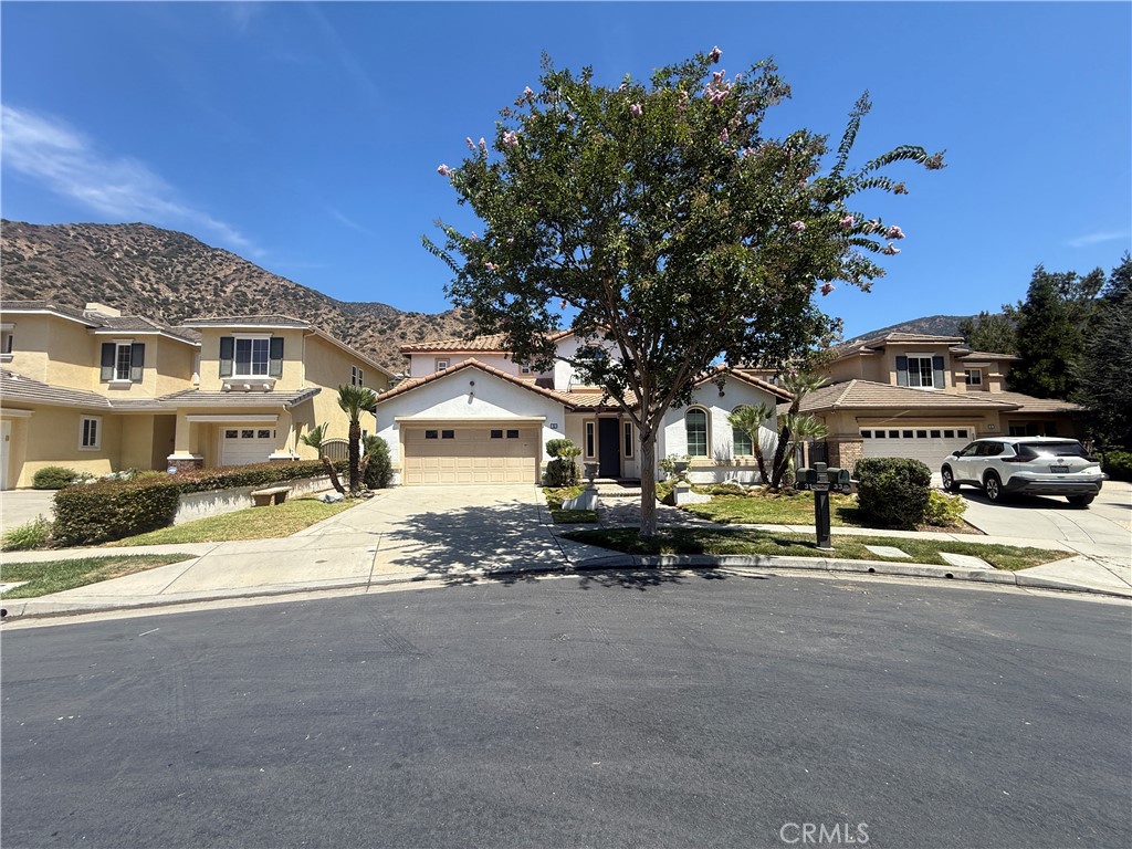 31 Whispering Willow Court