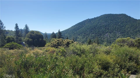 Photo of 9176 Diamond Dust TRL, Kelseyville, CA 95451 (MLS # LC26149979)