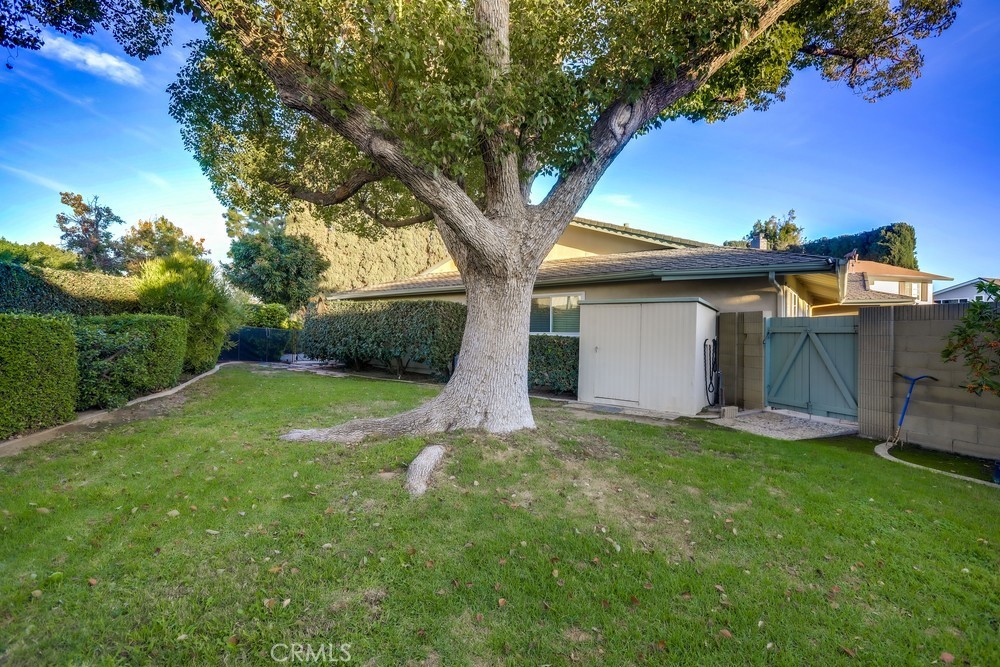 None - Residential Lease