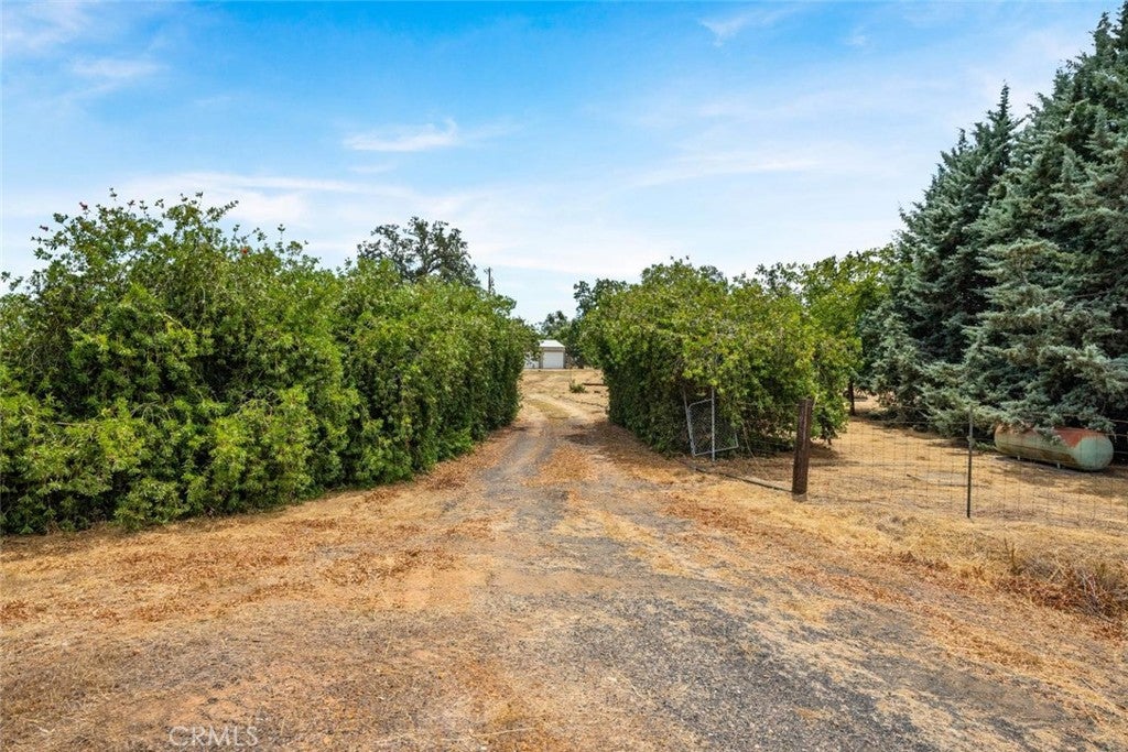 3390 Dry Creek