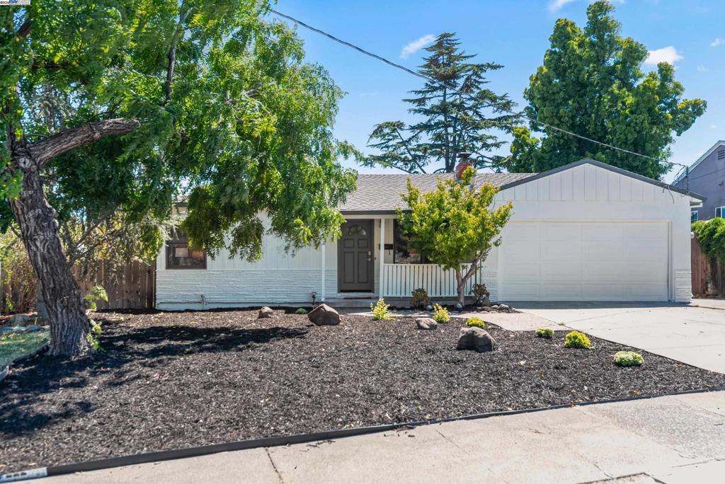Welcome home! Your charming, remodeled single-story is nestled in a peaceful neighborhood on a large lot. The home features a freshly painted interior and exterior, a remodeled kitchen and bathroom, and beautiful natural hardwood floors throughout. Enjoy the spacious yard, perfect for kids to play and ideal for entertaining family and friends. There is also plenty of room to build an ADU and a swimming pool! Conveniently located near great schools, parks, freeways, and BART. Don’t miss out—you will love it here!