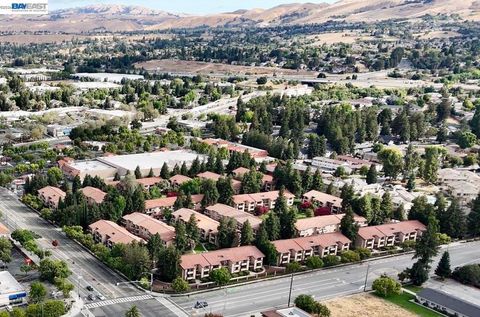 93 Shaniko Cmn 24 Fremont CA 94539