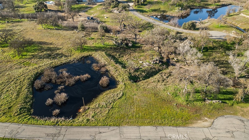 14798 Feather Woods Lane