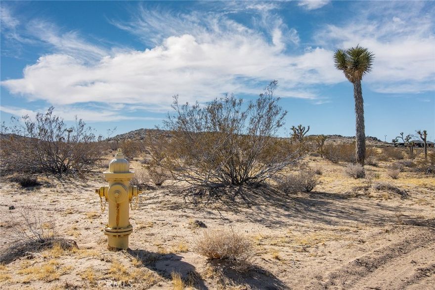 Let's build a desert escape! A tiny home, modern home, meditation retreat or glamping site would be the needed getaway that you've been dreaming about for a long time! Over 5 acres of buildable land with utilities in the street. Pioneertown and the fun times await you for live music and the high deserts best barbecue! Stroll down Mane Street and pop in to various artist galleries and eclectic stores. Sit dog with your 4 legged friends and enjoy outdoor seating and mingling at the Red Dog saloon. Stargaze and flee the bustling city life or take in an interesting tour over at Integratron or hike Giant Rock! Joshua Tree National Park is about 15 minutes through the Mesa! Call your favorite realtor to view today!

APN for Big Horn Water District is 063001144.