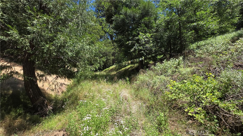 Own a beautiful part of the forest in the Cedarpines Park area of the San Bernardino mountains. If getting off the grid is something you want to do, this could be the perfect spot for you. It's heavily forested and an absolutely beautiful area. Owner will consider financing on a Note and Deed of Trust or on a Land Contract of Sale with very favorable terms. Call for details. Buyer to verify all use information and utilities with the proper governing bodies and agencies. There are no utilities that we can see. The county has not yet assigned an address to this property. Mojave River Rd is the closest Rd to the property. Use these coordinates to locate the property: Latitude: 34.260776 / Longitude: -117.314449. That will put you just about in the center of the property.