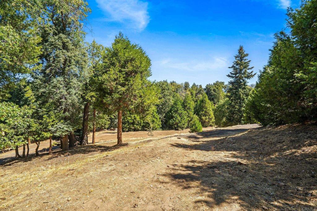22520 Greenfield