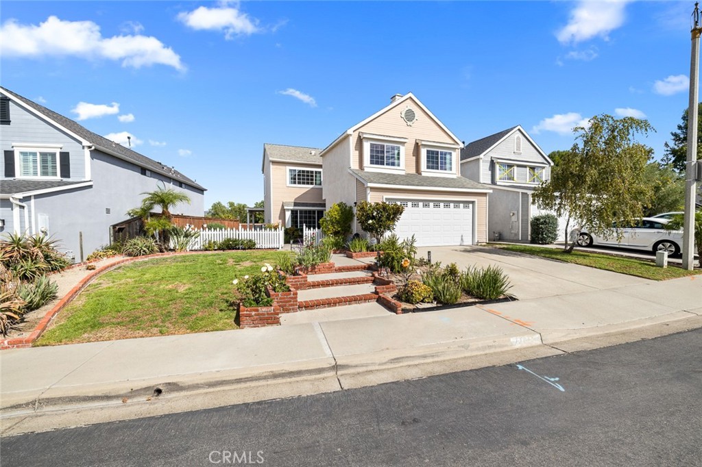 27651 White Fir