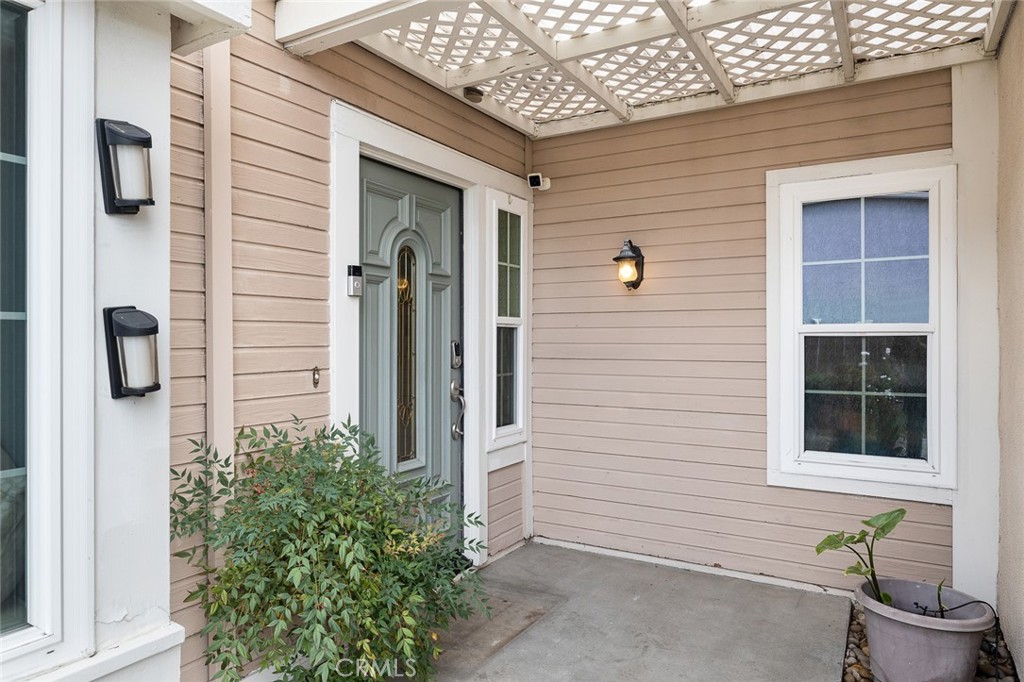27651 White Fir
