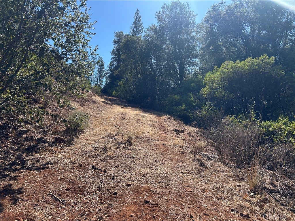 17615 Ponderosa