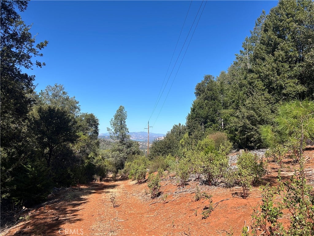 17615 Ponderosa