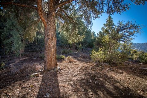 Photo of 1824 Saint Anton Drive, Pine Mountain Club, CA 93222 (MLS # SR25248493) Photo of 1824 Saint Anton Drive, Pine Mountain Club, CA 93222 (MLS # SR25248493)