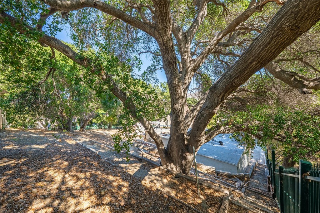 Custom Sand Canyon (CSAND) - Residential