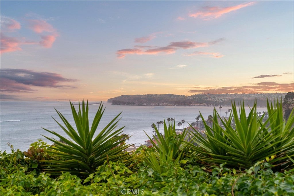 35269 Camino Capistrano, Dana Point CA 92629 - Photo 20