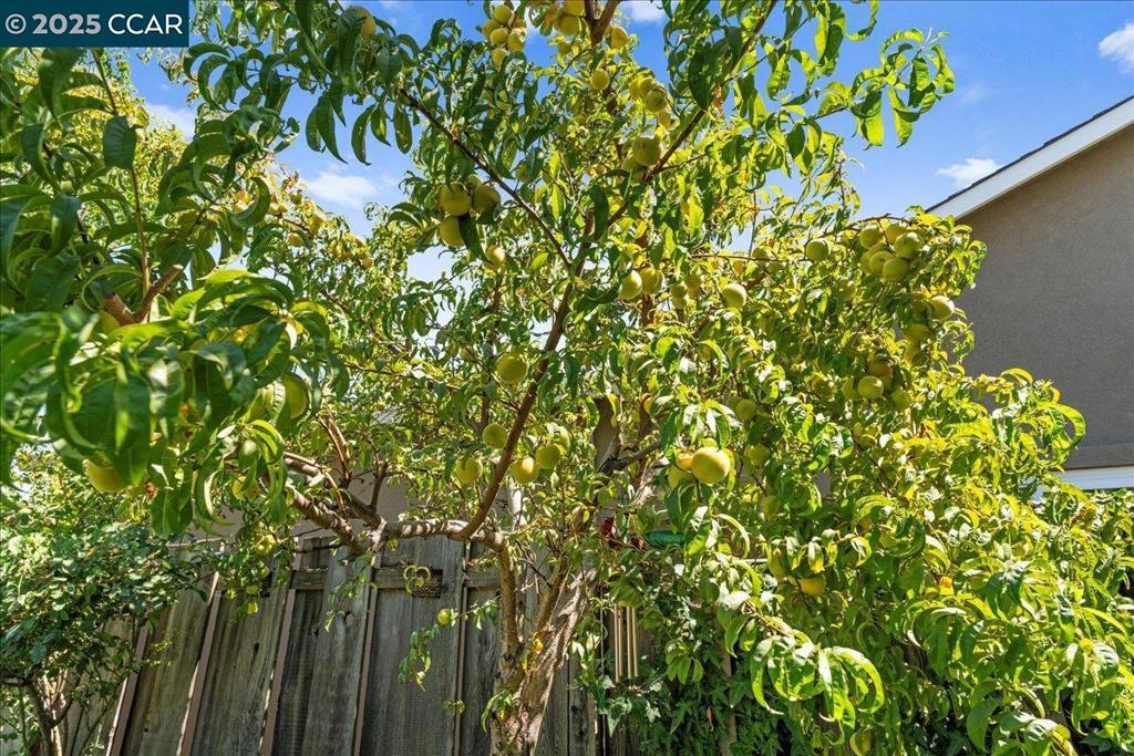 LIVERMORE - Residential