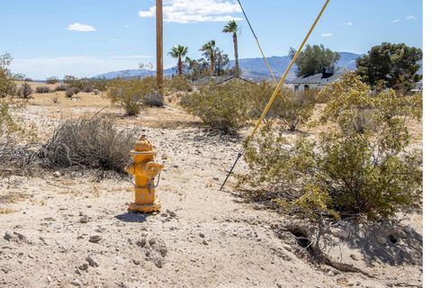 Photo of 139 Rice Avenue, Joshua Tree, CA 92252 (MLS # 219146406PS)