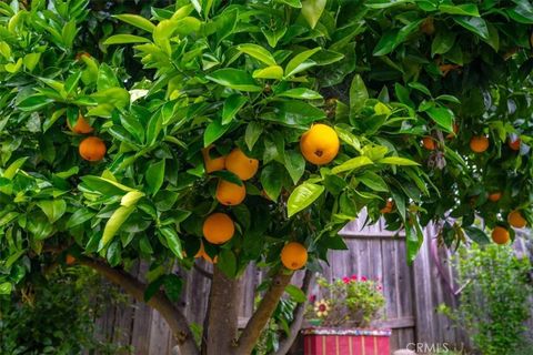 Tiny photo for 4553 Wavertree St, San Luis Obispo, CA 93401 (MLS # PI26071155)