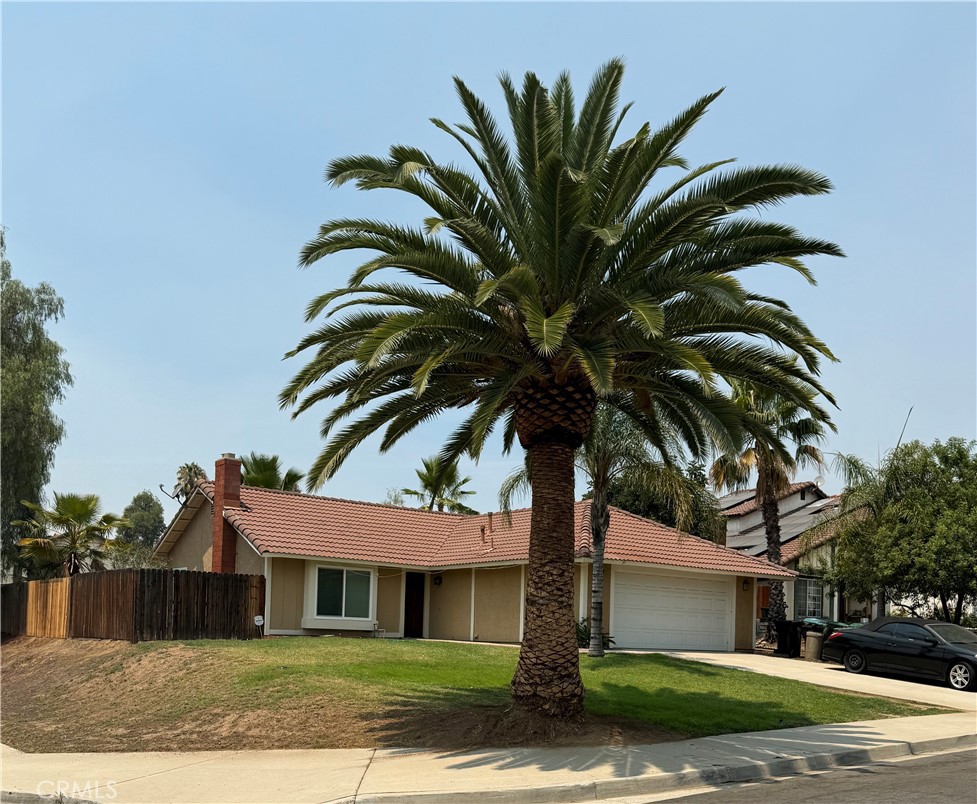 12695 Bluntleaf Court