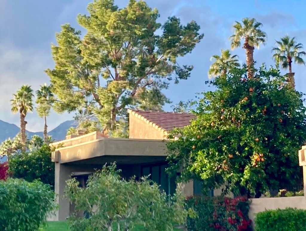 Photo of 73323 Boxthorn Lane, Palm Desert, CA 92260 (MLS # 219137279DA)
