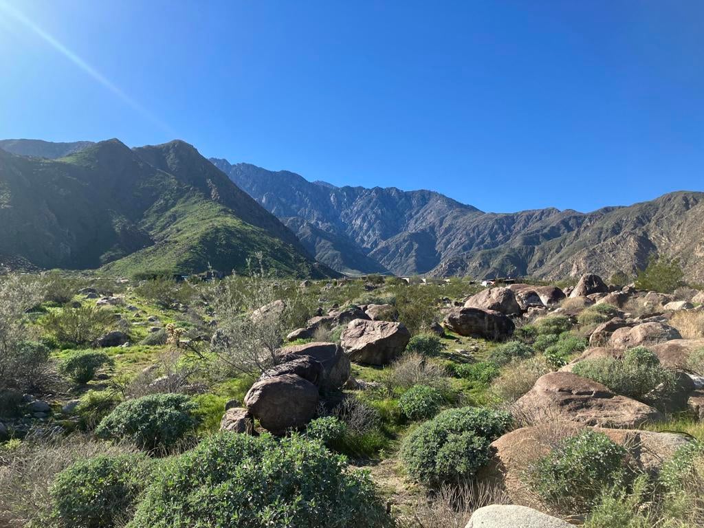 2321 Vista Palizada Drive