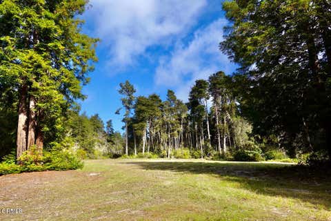 Photo of 43535 Comptche Ukiah Road, Mendocino, CA 95460 (MLS # C1-11219)