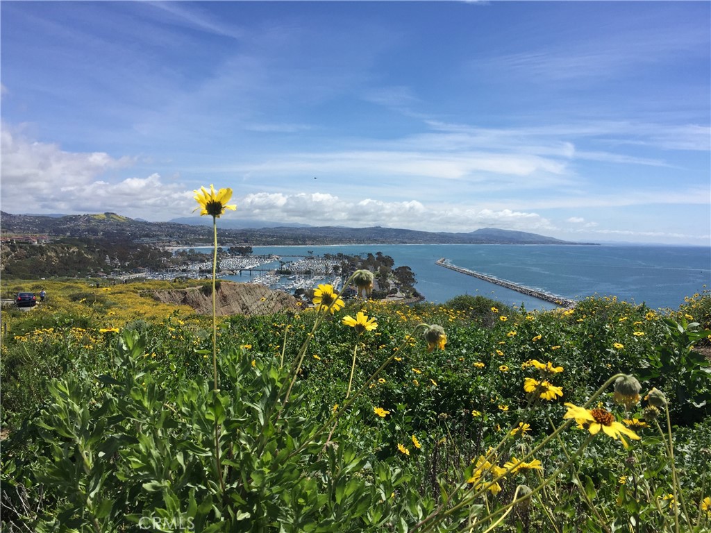 Dana Point Headlands - Residential Income