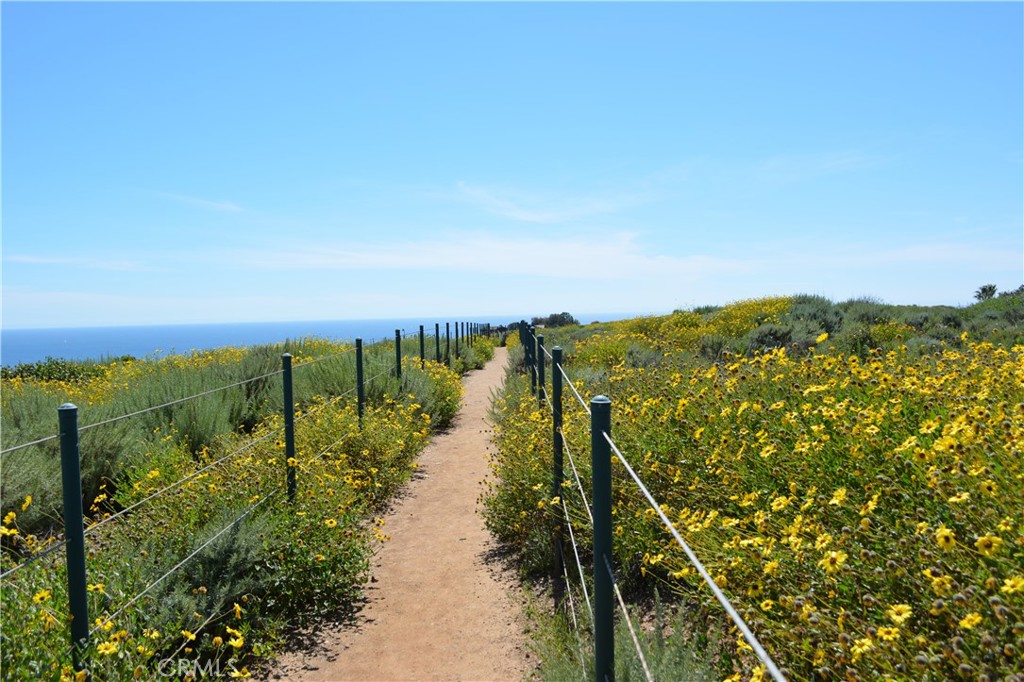 Dana Point Headlands - Residential Income