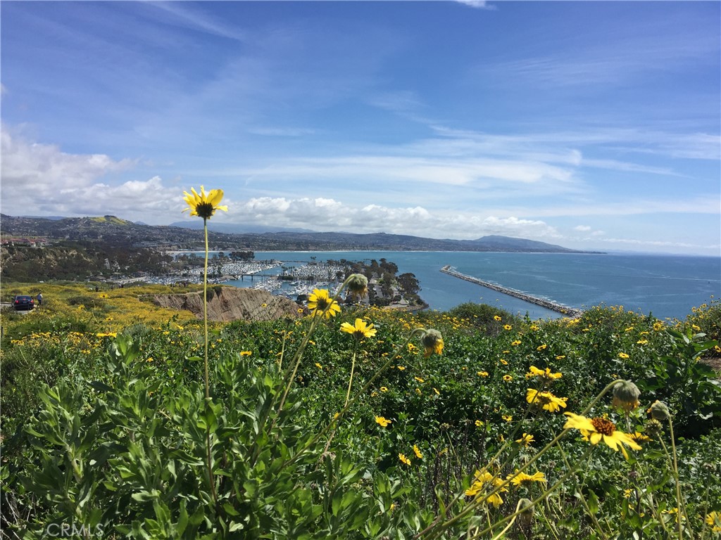 Dana Point Headlands - Residential Income