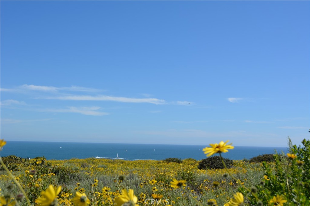 Dana Point Headlands - Residential Income