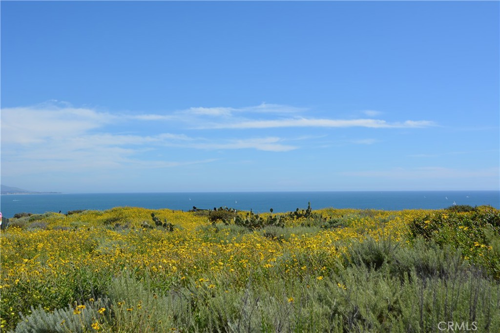 Dana Point Headlands - Residential Income