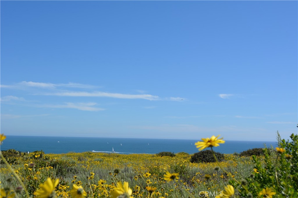 Dana Point Headlands - Residential Income