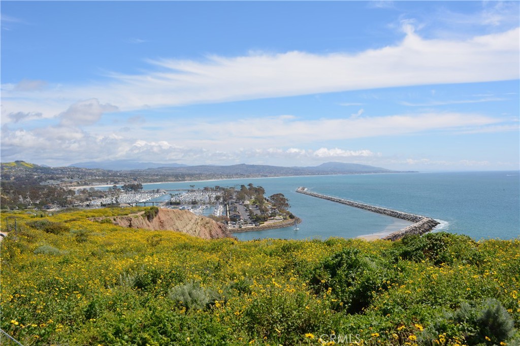 Dana Point Headlands - Residential Income