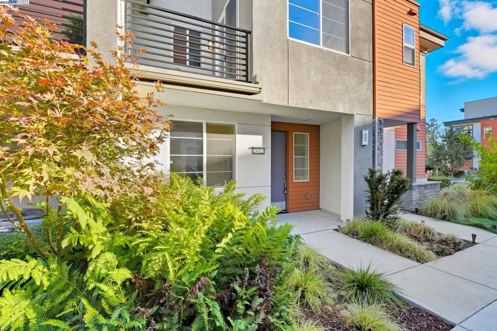 HAYWARD - Residential