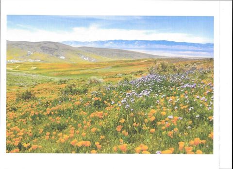 Photo of 0 Cooperstown Rd, California Valley, CA 93453 (MLS # NS25161115) Photo of 0 Cooperstown Rd, California Valley, CA 93453 (MLS # NS25161115)