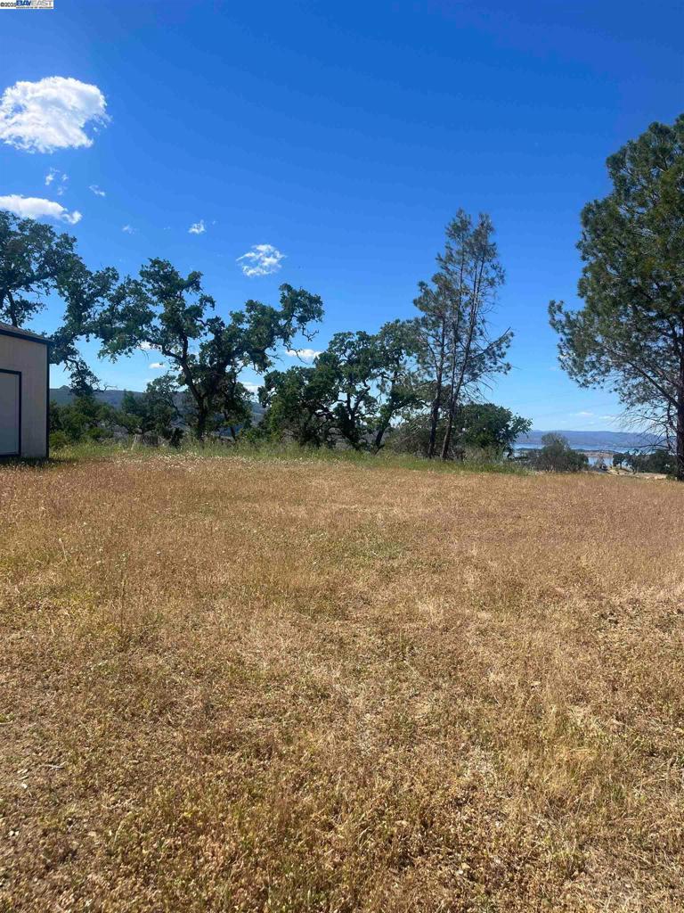 1123 Headlands Drive