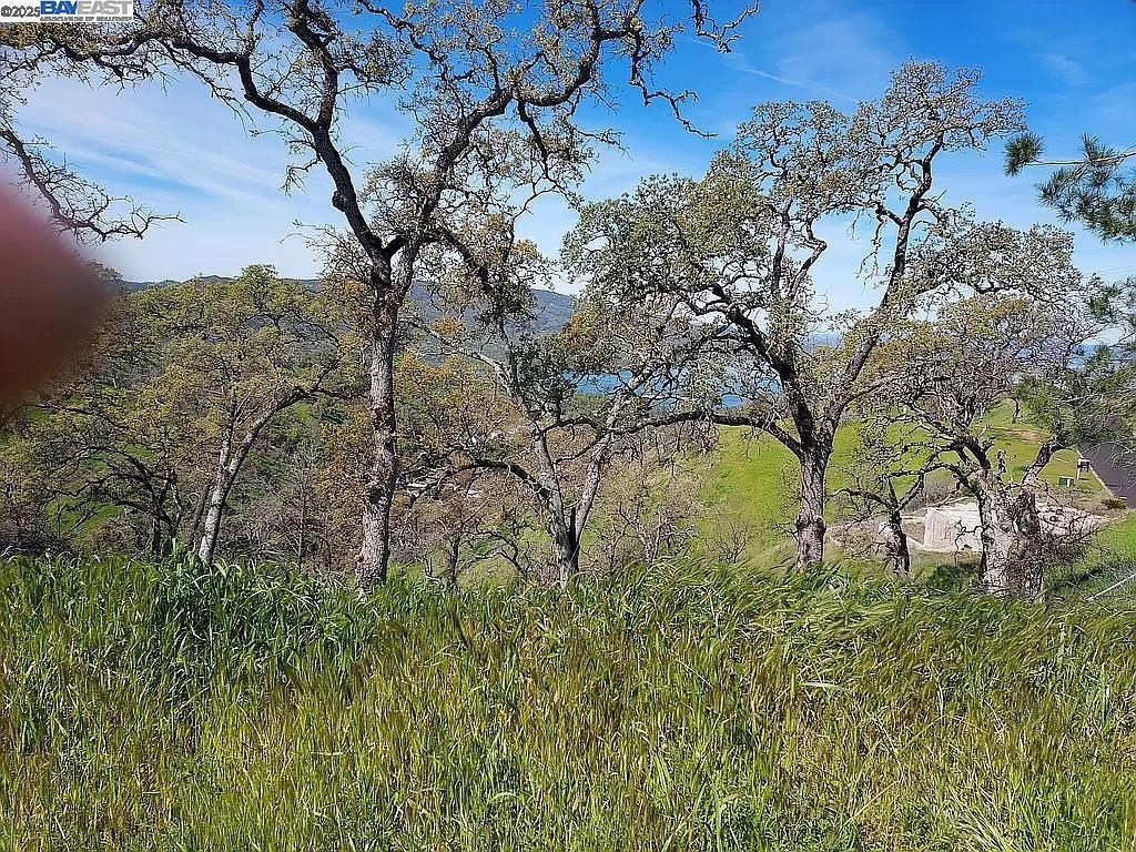 1123 Headlands Drive