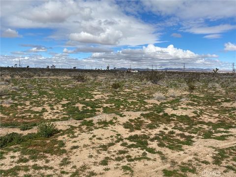 Photo of 0 Bellflower Street, Adelanto, CA 92301 (MLS # HD25249981) Photo of 0 Bellflower Street, Adelanto, CA 92301 (MLS # HD25249981)