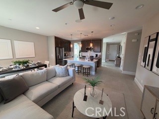 321 Knotgrass Street