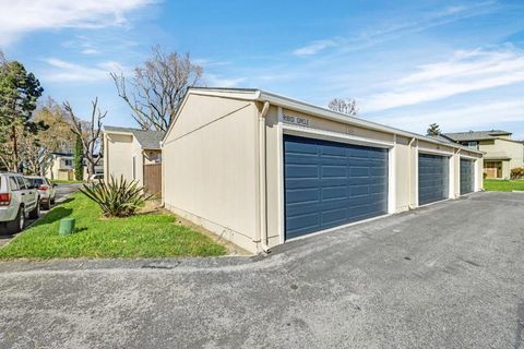Tiny photo for 1034 Ribisi Circle, San Jose, CA 95131 (MLS # ML82037562)