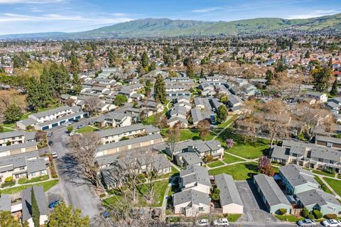 Tiny photo for 1034 Ribisi Circle, San Jose, CA 95131 (MLS # ML82037562)